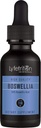 Lyfetrition Boswellia 455 mg, 4 Oz Liquid, 220 Servings, Made in USA, Quick Absorption, Quality Potent Ingredients, Third-Party Tested, Non-GMO, GMP Certified, Cruelty-Free Products