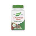 Nature’s Way 5-Mushroom Blend, with Lion’s Mane, Shiitake, Reishi, Maitake, Chaga Mushroom, 60 Vegan Capsules