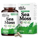 Wild & Organic Sea Moss Capsules - Overall Support - Irish Sea Moss Complex with Bladderwrack Powder Supplement - Chondrus Crispus - Vegan, No Fillers, Non-GMO - 120 Count