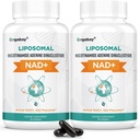 Orgabay Liposomal NAD+ Suplemento 500 mg, Alta Absorción, Boost NAD+ con TMG 250 mg, Actual NAD Plus Más Eficiente que Nicotinamide Riboside, Apoyo Energía Celular, Envejecimiento Saludable 120 Softgels