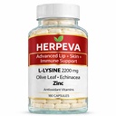 L-Lysine Cold Sore Support Powerful Immune Support – 2200mg Lysine Olive Leaf, Echinacea, Vitamin C, 1500mcg Vitamin b12, Zinc & Herbs – Daily Capsules for Overall Wellness – 180 Count