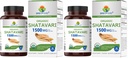 Brieofood Organic Shatavari 1500mg, 45 Servings, Vegetarian, Gluten Free, 90 Vegetarian Tablets (Pack of 2)