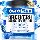 Cretina Monohydrate Gummies for Men &amp; Women 5000mg Cretine Monohydrate per Serving for Muscle Support Energy Boost 120 Cuenta Chewable 5g Suplemento Creatine Sugar Free Vegan (1 Pack, Blue Raspberry)