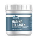 Earthborn Elements Hydrolyzed Marine Collagen Peptides Powder 1.25 lb, Pure & Undiluted, Dietary Supplement