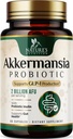 Akkermansia Probiotic Supplement for Women ' Men, Akkermansia Muciniphila GLP 1 Probiotics with Prebiotic, 2 Billion AFU, Natural Digestive, Gut Health, & GLP 1 Production Support, 60 capsules