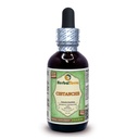 Cistanche (Cistanche Deserticola) Dried Herb Alcohol-Free Liquid Extract (Brand Name: HerbalTerra, Proudly Made in USA) 2 oz