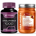WELLNESS LABSRX Liposomal Urolithin A Capsules - Sea Moss Applecinnamon Gel | Bundle