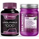 WELLNESS LABSRX Liposomal Urolithin A Capsules - Sea Moss Elderberry Gel | Bundle