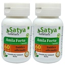 Amla Capsule 60 Capsules 500mg | Emblica Officinalis (Amalaki) Extract Capsules (Pack of 2)