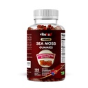 Vitabod Irish Sea Moss & Bladderwrack Gummies with Burdock Root – Botanical Extract Supplement – Vegan, Non-GMO, Plant-Based Gummies – 180 Count