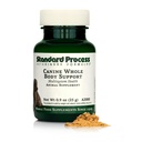 Standard Process Inc. Whole Body Multisystem Support Supplement for Canines - Nutritional Powder for Daily Health Maintenance - 25 g