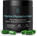 Marine Phytoplankton Capsules by Holistic Bin ¦ Naturally Grown in Nordic Seawater Silencio Vegan Omega 3 Suplemento viv Rich in Amino Acids, Chlorophyll, Vitamins, Trace Minerals