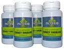 Turkey Rhubarb 450mg, 100 Capsules (4 PACK) (4)