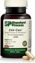 Standard Process Fen-Cho - Digestive & Gut Health Supplement - Gluten-Free, Non-Dairy " Non-Soy - 90 Capsules (45 Servings)