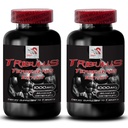 Physical Endurance - TRIBULUS TERRESTRIS EXTRACT - Energy Empowerment, Body Power, Plant-Based Boost, Energy Optimization, Strength Resilience, Body Performance, Athletic Recovery 2 Bottles 180 Tabs