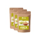 Blessfull Healing Organic Amla Powder 100% Pure Natural 100 Gram (3.52 oz) Each (Pack of 3) = 300 Grams, Vegan
