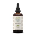 HerbEra Hydrangea B120 Alcohol-Free Herbal Extract Tincture, Concentrated Liquid Drops Natural Hydrangea arborescens (4 fl oz)