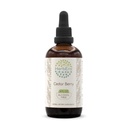 HerbEra Cedar Berry B120 Alcohol-Free Herbal Extract Tincture, Wildcrafted Cedar Berry (Juniperus monosperma) (4 fl oz)