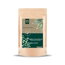 Blessfull Healing Indian Gooseberry(Emblica Officinalis) Powder 100% Pure Natural 200 Gram / 7.05 oz