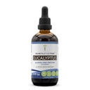 Secrets of the Tribe Eucalyptus Alcohol-Free Liquid Extract, Eucalyptus Globulus Dried Leaf Tincture Supplement (4 FL OZ)