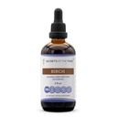Secrets of the Tribe Birch Tincture Alcohol-Free Liquid Extract, Birch (Betula Pendula) Dried Leaf (4 FL OZ)