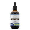 Secrets of the Tribe Guggul Tincture Alcohol-Free Liquid Extract, Guggul (Commiphora Mukul) Dried Gum (4 FL OZ)