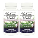 Host Defense MycoBotanicals Brain Capsules, 120 ct (Pack of Two 60 ct Units)