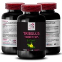 Pure Energy Support - TRIBULUS TERRESTRIS EXTRACTS - Plant-Based Strength, Muscle Recovery Support, Physical Power Booster, Active Strength Booster, Energy Source, Power Support Blend 1 Bottle 60 Tabs