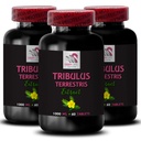 Pure Strength Surge - TRIBULUS TERRESTRIS EXTRACTS - Body Power Support, Active Energy, Daily Muscle Boost, Dynamic Power, Plant-Based Energy Formula, Natural Power Source 3 Bottles 180 Tablets