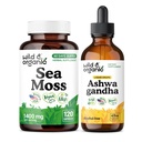 Wild & Organic Sea Moss 120 Capsules & Ashwagandha Tincture 4 fl oz