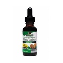 Natures Answer Black Walnut Green Hull - Alcohol Free, 1 Ounce - 3 per case.