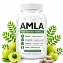 Amla Capsules, Organic Amla Superfruit Capsules 1000mg, Plant-Based Superfruit Extract, for Antioxidant Support, Energy, Stress Balance & Digestive, 90 Capsules