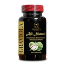 Graviola Extract Supplement for Immune Support, Antioxidant & Vitality Support with Balanced Energy Focus – 1 Bottle 100 Capsules