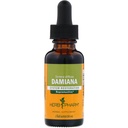 Herb Pharm Damiana Extract for Reproductive System Support - 1 Ounce