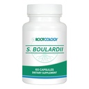 Rootcology by Dr. Izabella Wentz | S. Boulardii | Probiotic Capsules - Shelf-Stable 10 Billion CFU Saccharomyces | 60 Capsules