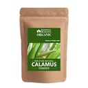 Blessfull Healing Organic Calamus Powder 100% Pure Natural 100 Gram / 3.52 oz