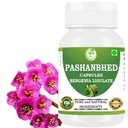 Pashanbhed (Bergenia ligulata) Powder Capsules | Ayurvedic Herbal Supplement | 100% Pure Extract | Vegetarian & Vegan | 500 mg per Serving | 60 Veg Capsules