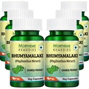 Morpheme Phyllanthus Niruri (Bhumyamlaki) 500mg Extract - 60 Veg Caps - 6 Bottles