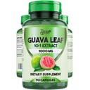 BLIVA Guava Leaf Extract Capsules – 1000 mg – 10:1 Extract Guava Leaves Supplement – 90 Vegetarian Capsules