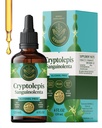 HERBAMAMA Cryptolepis Tincture - Vegan Immune Support Supplement with Cryptolepis Sanguinolenta Extract - Non-GMO, Alcohol & Sugar-Free Immunity Drops - 84-Day Supply