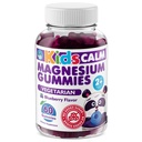 DR. MORITZ Sugar-Free Calm Magnesium Gummies for Kids and Adults - Non-GMO Magnesium Citrate Gummies - Blueberry Flavor - 1-Pack (60 Count)