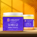 Organic Mango Pineapple Sea Moss Gel | Tropical Superfood | Delicious Nutrient Boost
