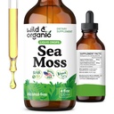 Wild & Organic Sea Moss Drops - Overall Support with Irish Seamoss and Bladderwrack - Multimineral Chondrus Crispus Tincture - Vegan, Sugar & Alcohol-Free Liquid Supplement - 4 fl oz