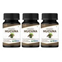 ORGANIC SPREE Mucuna Tablets - USDA Organic Mucuna Supplement, Supports Energy, Stamina & Overall Wellness*, 120 Tablets - Pack of 3