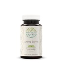 HerbEra Sheep Sorrel 60 Capsules, 500 mg, Concentrated Liquid Drops Natural Sheep Sorrel (Rumex Acetosella) Dried Herb (60 Capsules)
