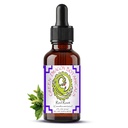 Red Root Liquid Extract Tincture – Ceanothus americanus Herbal Drops – 1:5 Concentrated Botanical Extract – Plant-Based Lymphatic & Circulatory Support* – 2 Fl Oz (60 mL)