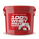 100% whey protein professional - 11 lbs - Chocolate - Scitec nutrition