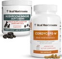Mushrooms reales Cordyceps for Humans (120ct) &amp; Mushroom Immune Pet Chews (60ct) - Bundle for Energy, Vitality & Immunity - Ashwagandha, Astragalus &amp; More - Vegan, Non-GMO, Gluten-Free, Grain-Free
