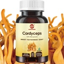Cordyceps Capsules, Mushroom Extract Supplement Powder con 31% Beta Glucan para el rendimiento, energía y apoyo del sistema inmunológico, 700mg, 60 Conde, Orgánico y Vegan