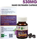 Nano Silymarin - 60 cápsulas - Liver Health Support and Stabilize Liver Cell - Nano Technology Aumenta la absorción hasta el 99,9%